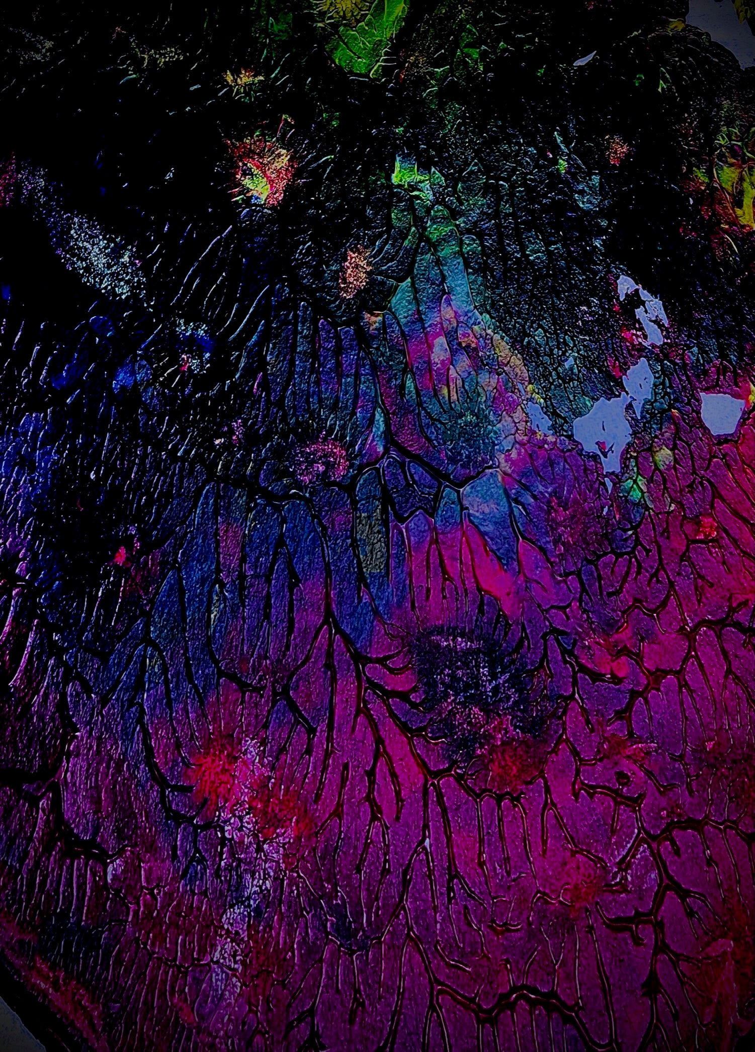 Original Paintings