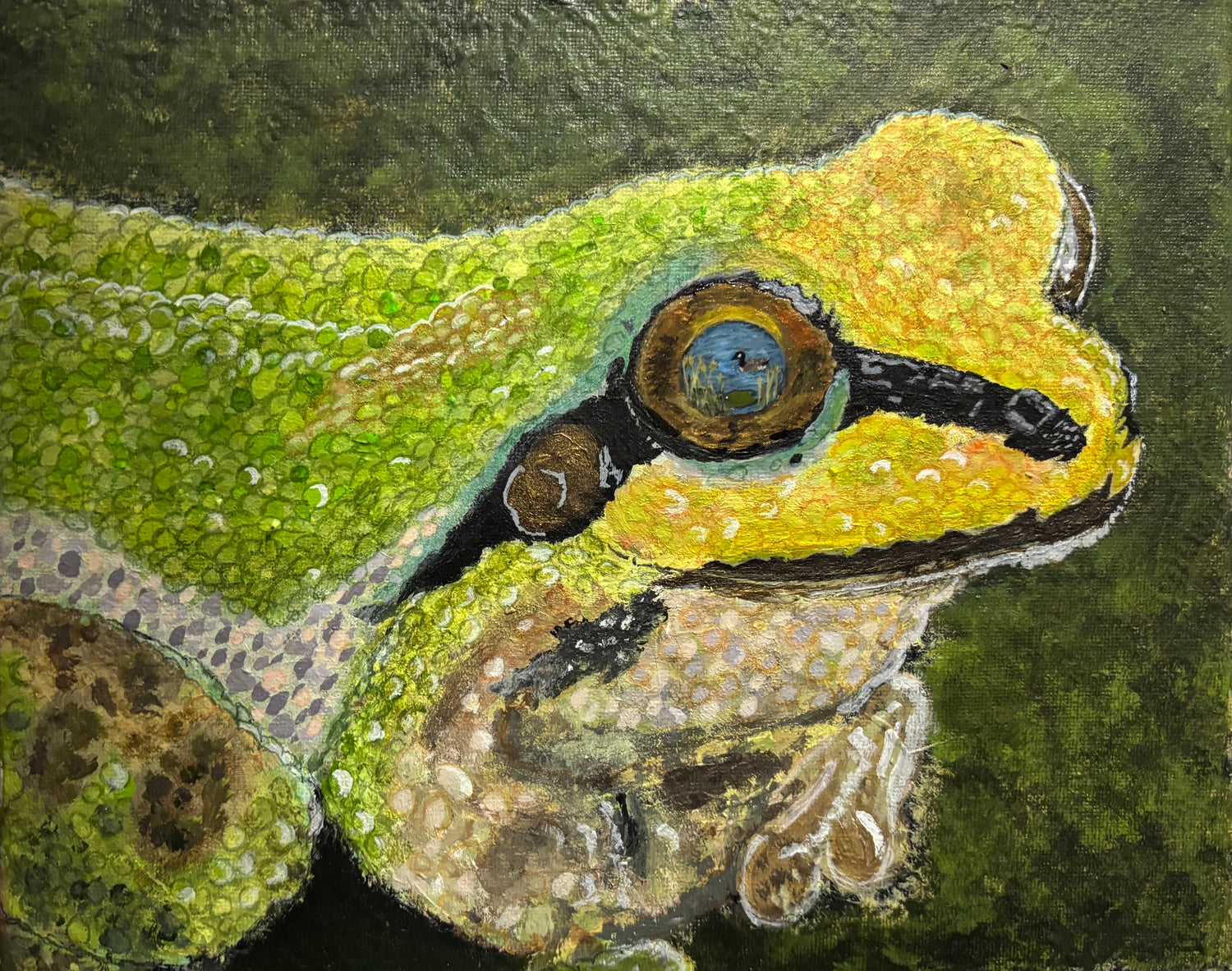 Frog vision