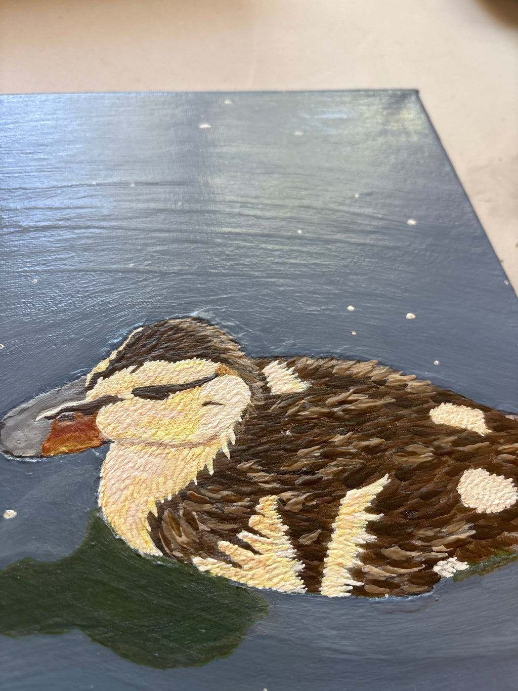 The Ducks Pond