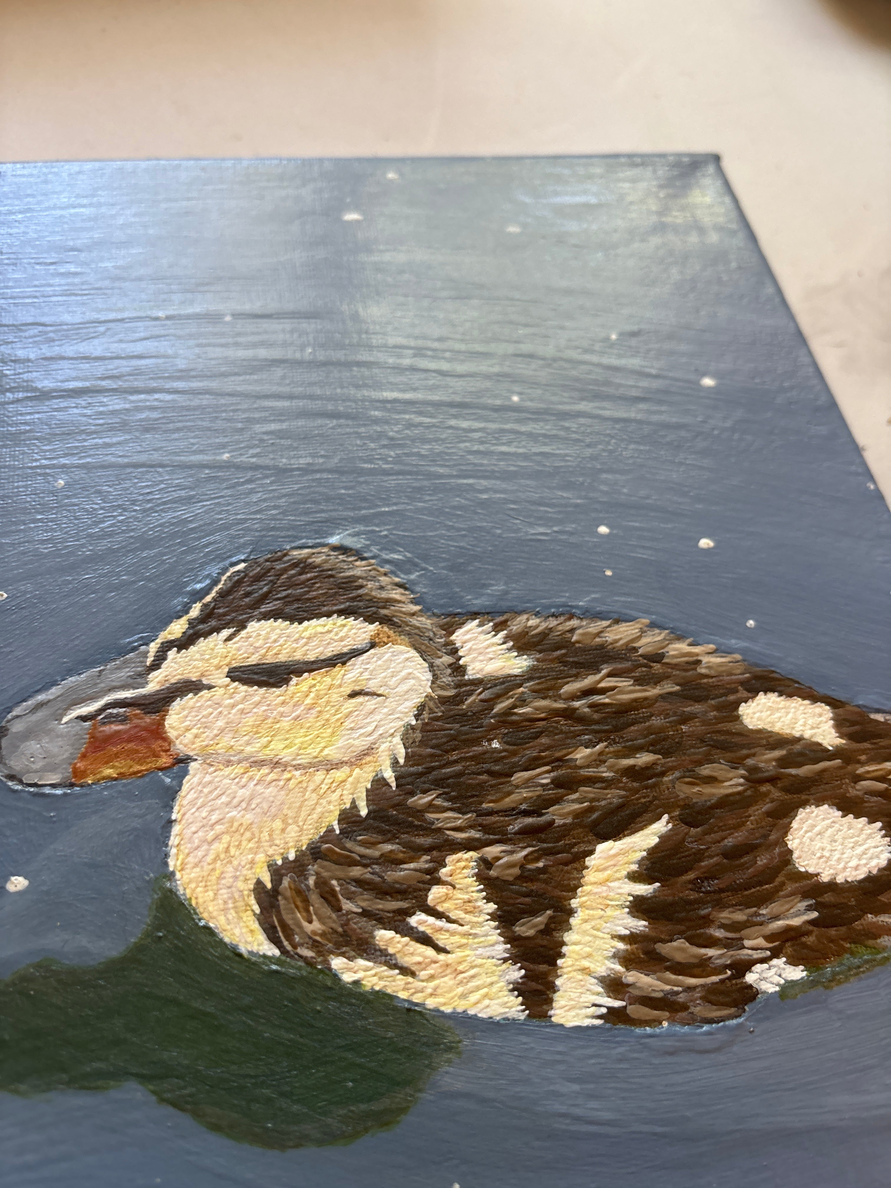 The Ducks Pond