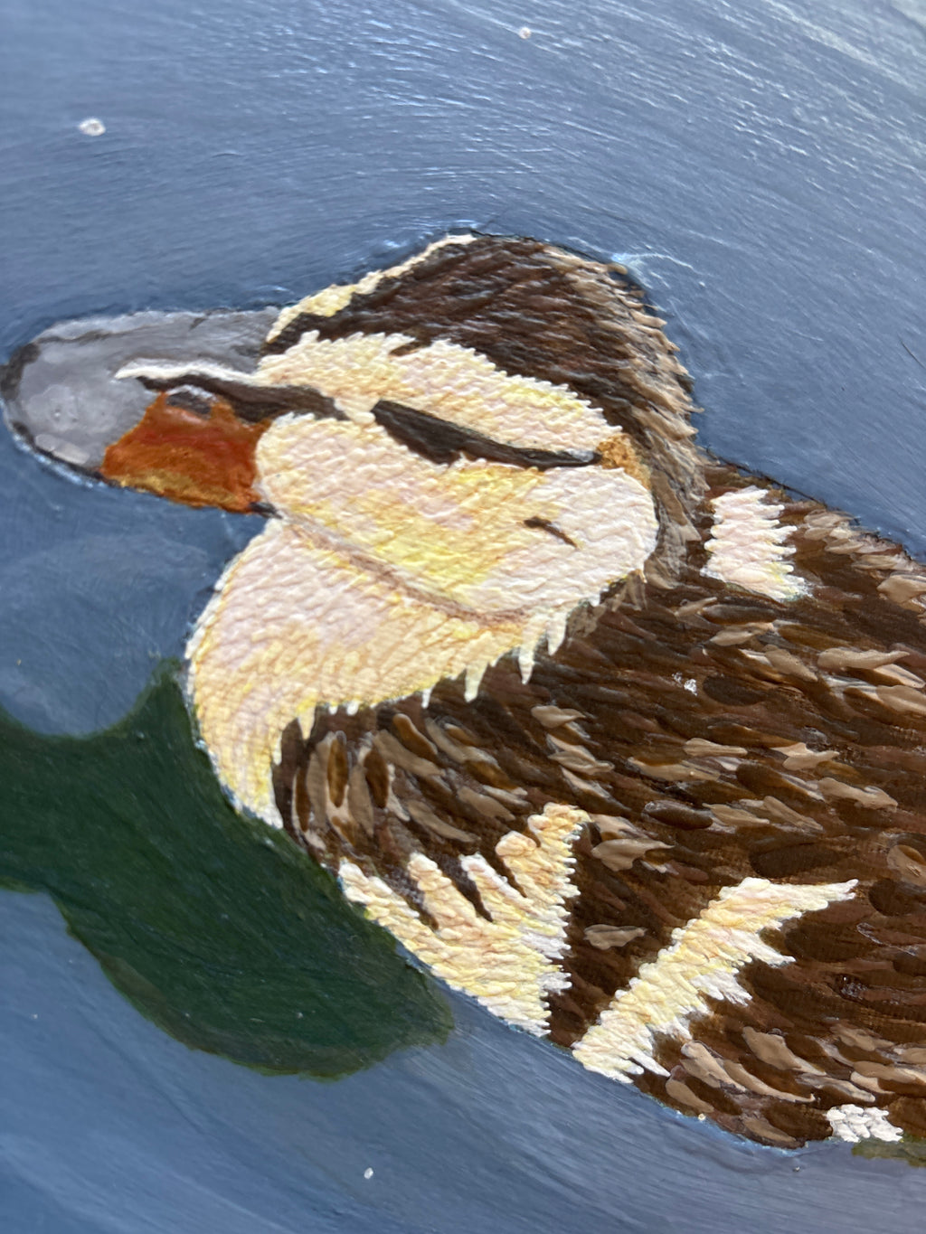 The Ducks Pond