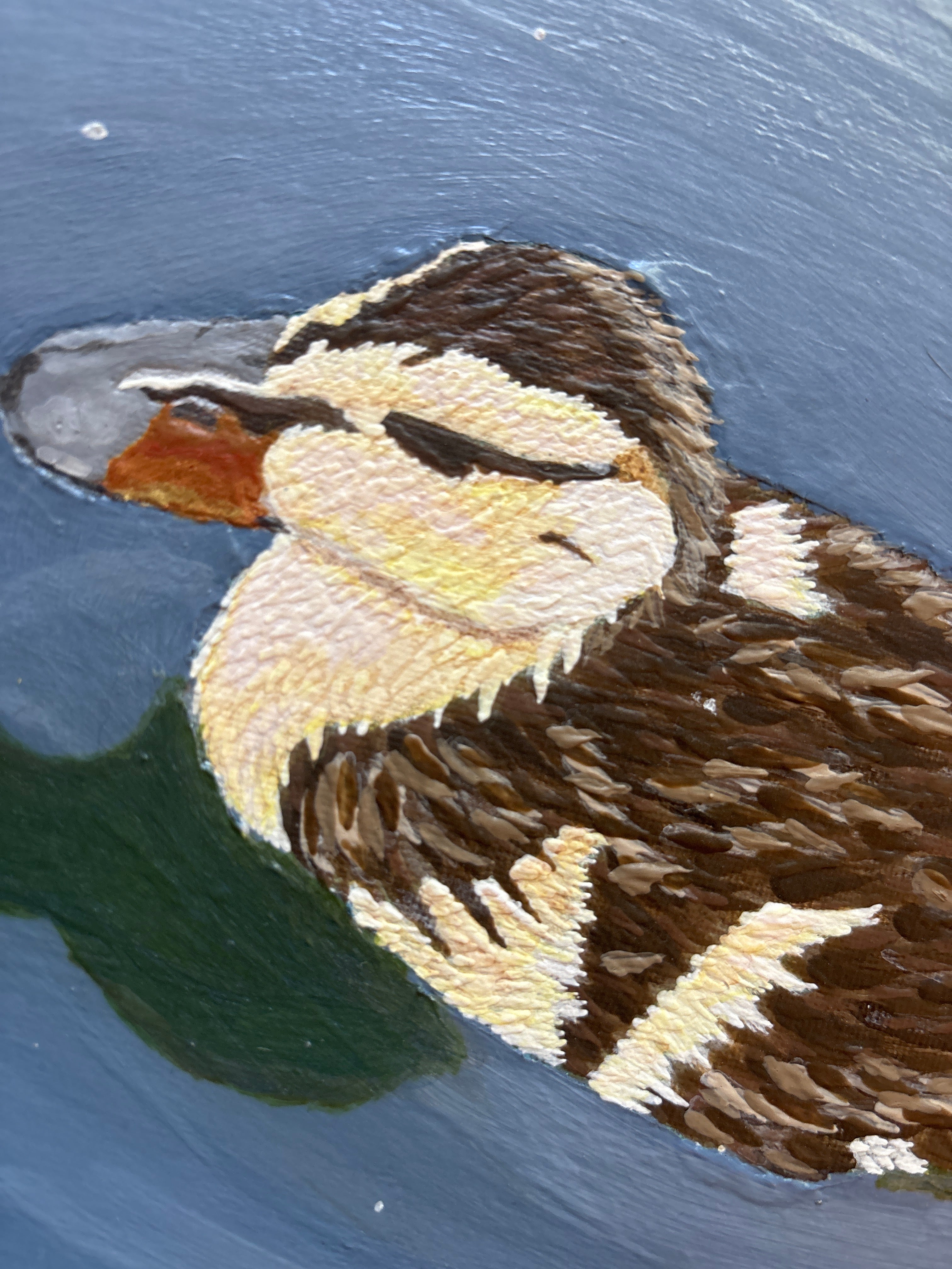 The Ducks Pond
