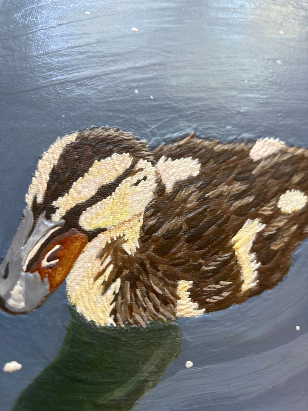The Ducks Pond