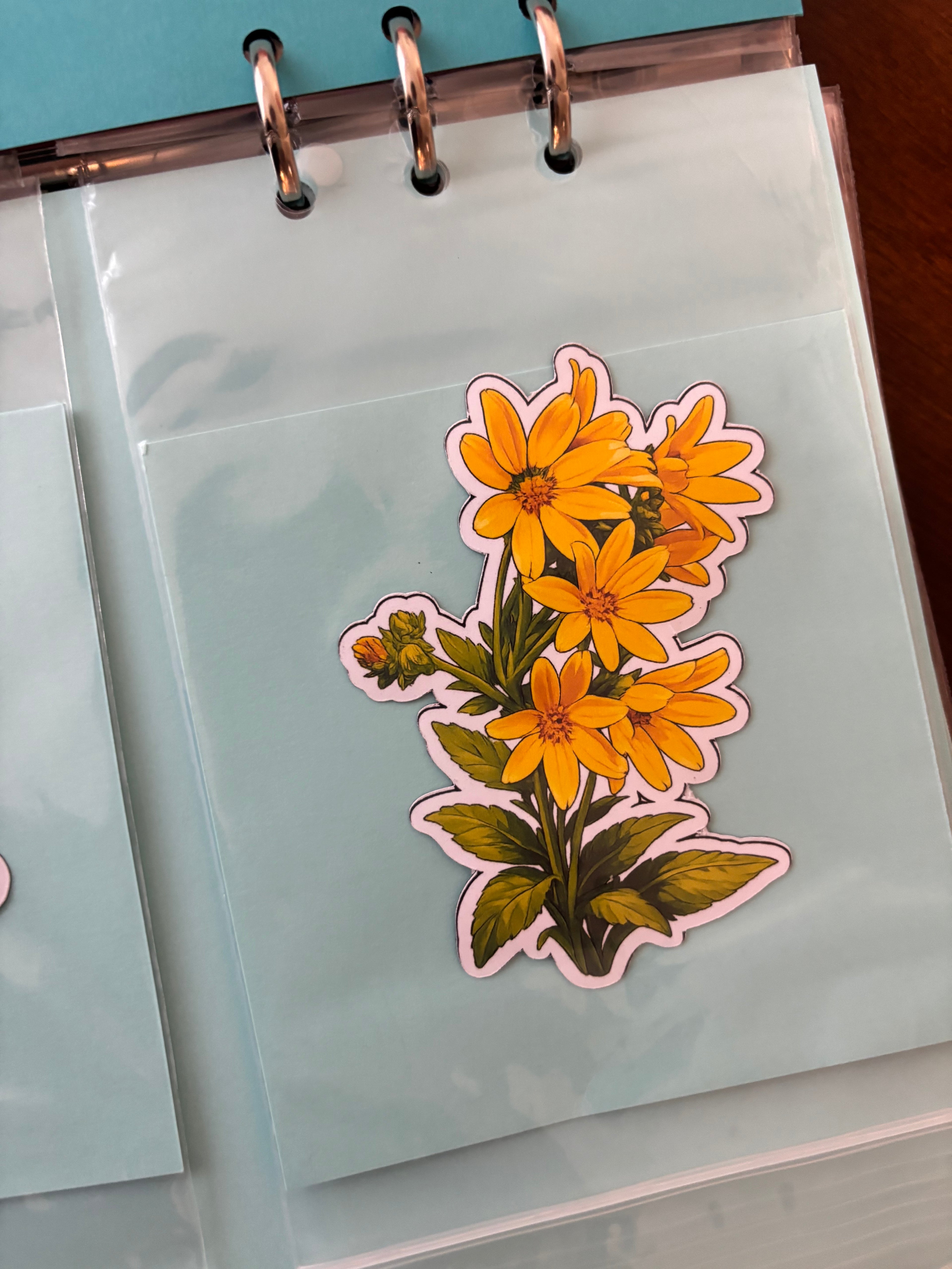 The Flower Garden set 2
