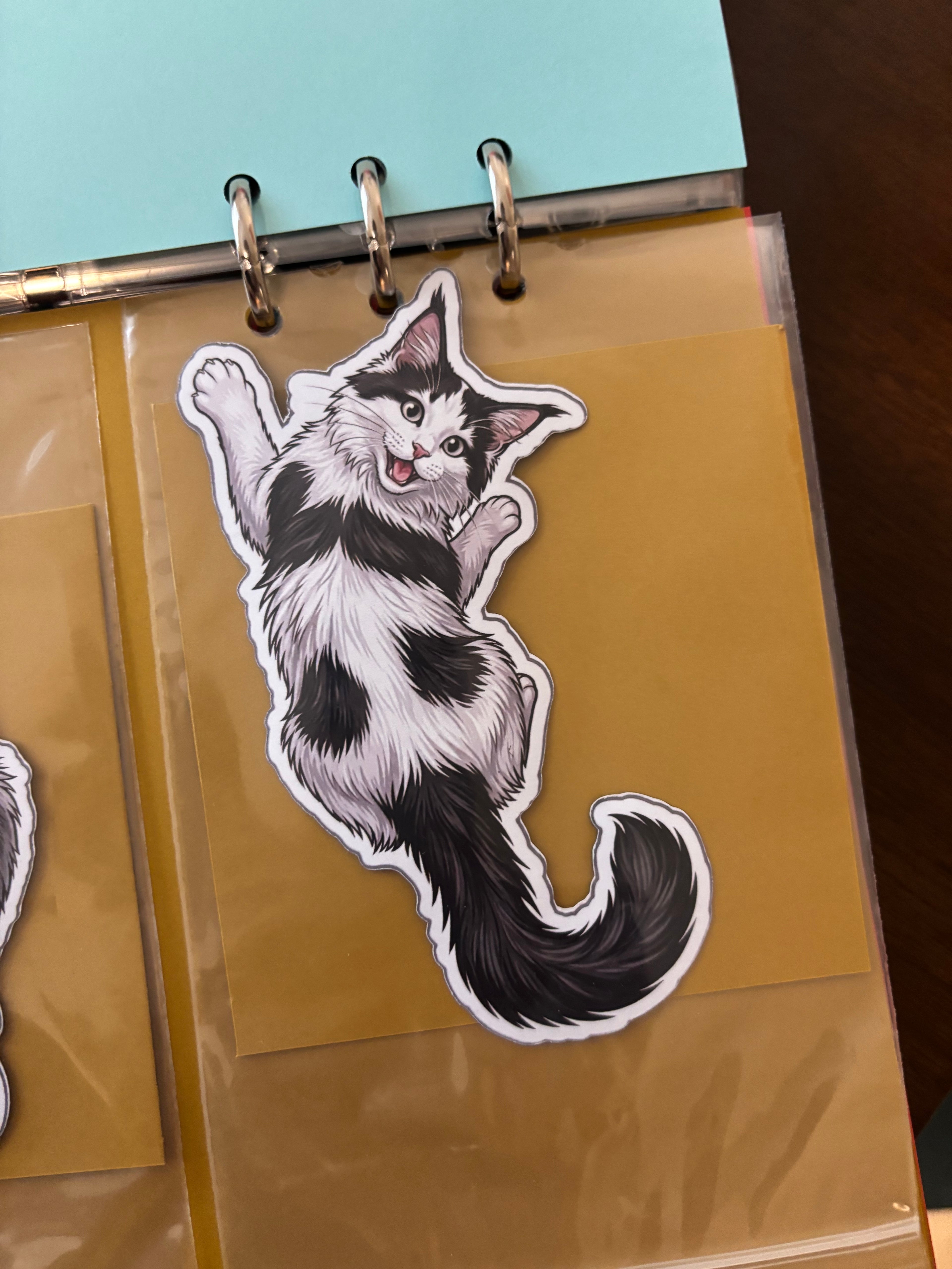 Feline Trio Set 1