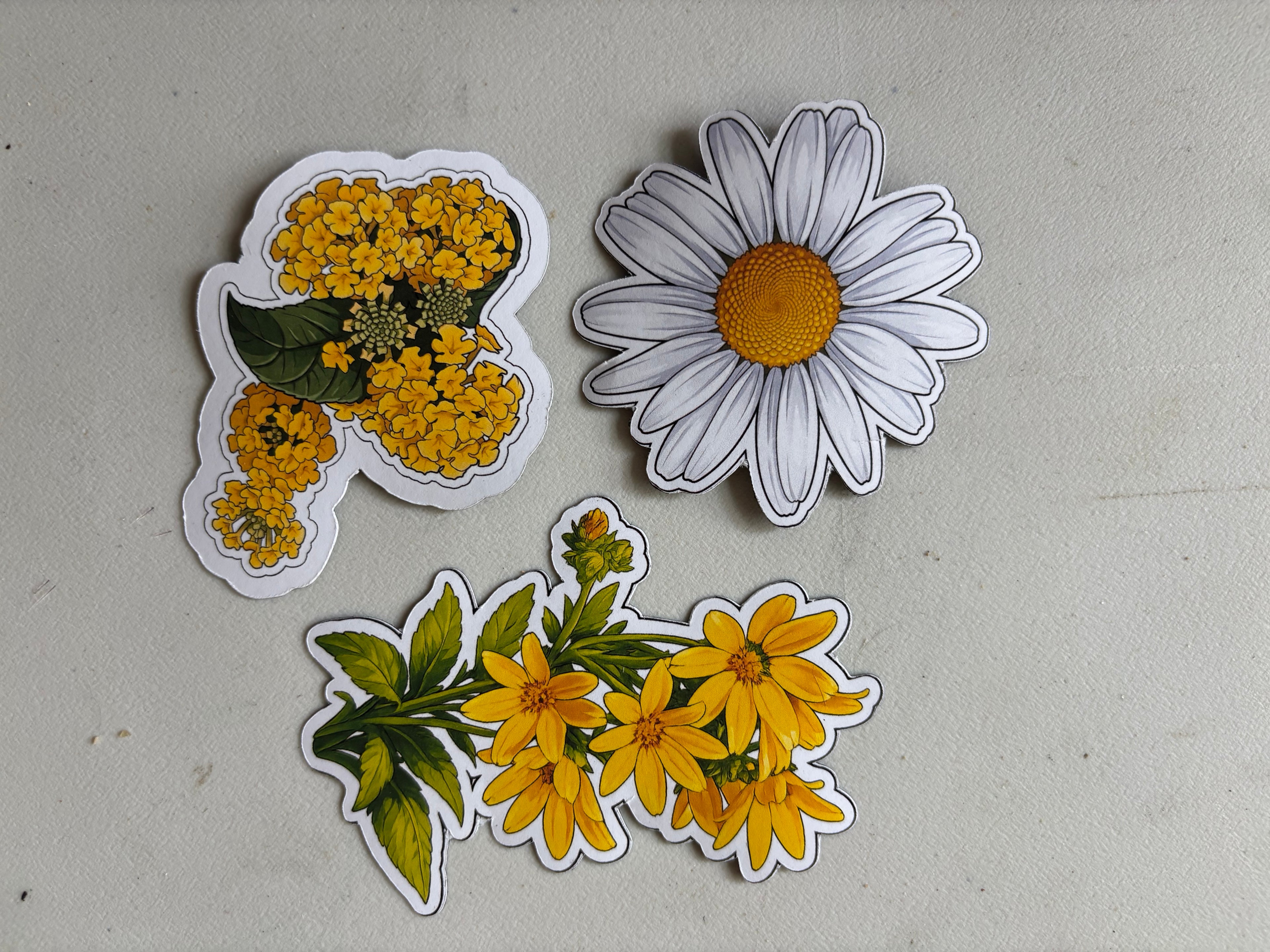 The Flower Garden set 2